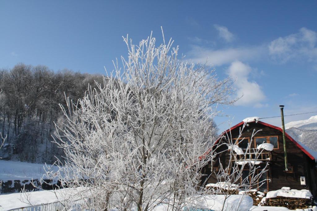 Goryo Guesthouse NakaNakafurano Exteriér fotografie